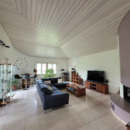 Appartement salon