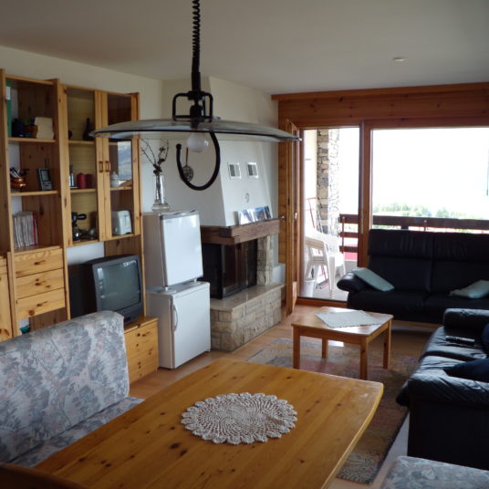 Séjour appartement Nendaz