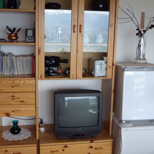 Séjour appartement Nendaz