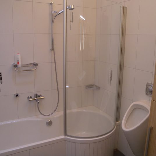 Salle de bain douche et pissoir appartement Täsch